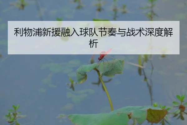利物浦新援融入球队节奏与战术深度解析